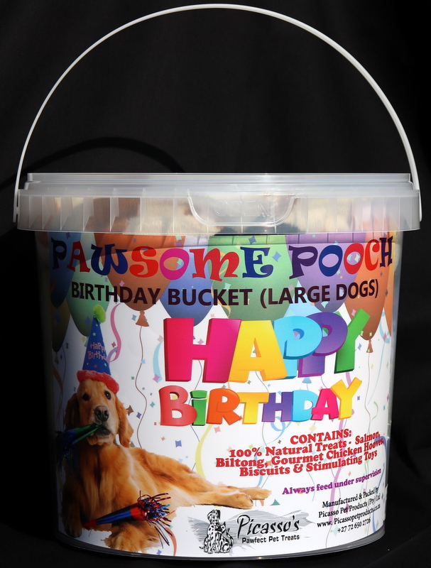 birthday-bucket-large-dogs-10-ltr